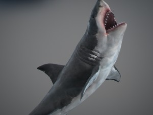 Animated great white shark 3D-Modell