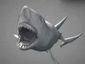 Animated great white shark 3D Model