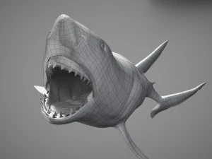 Animated great white shark 3D Model
