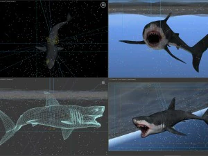 Animated great white shark 3D Model