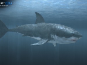 Animated great white shark 3D-Modell