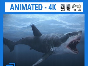 animated great white shark 3D Model