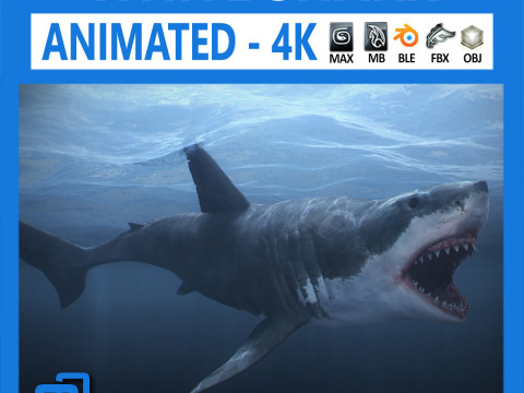 Animated great white shark Modelo 3D
