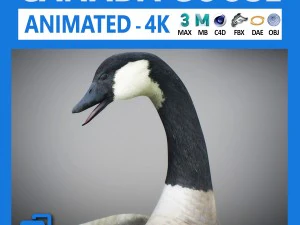 动画加拿大鹅 3D 模型