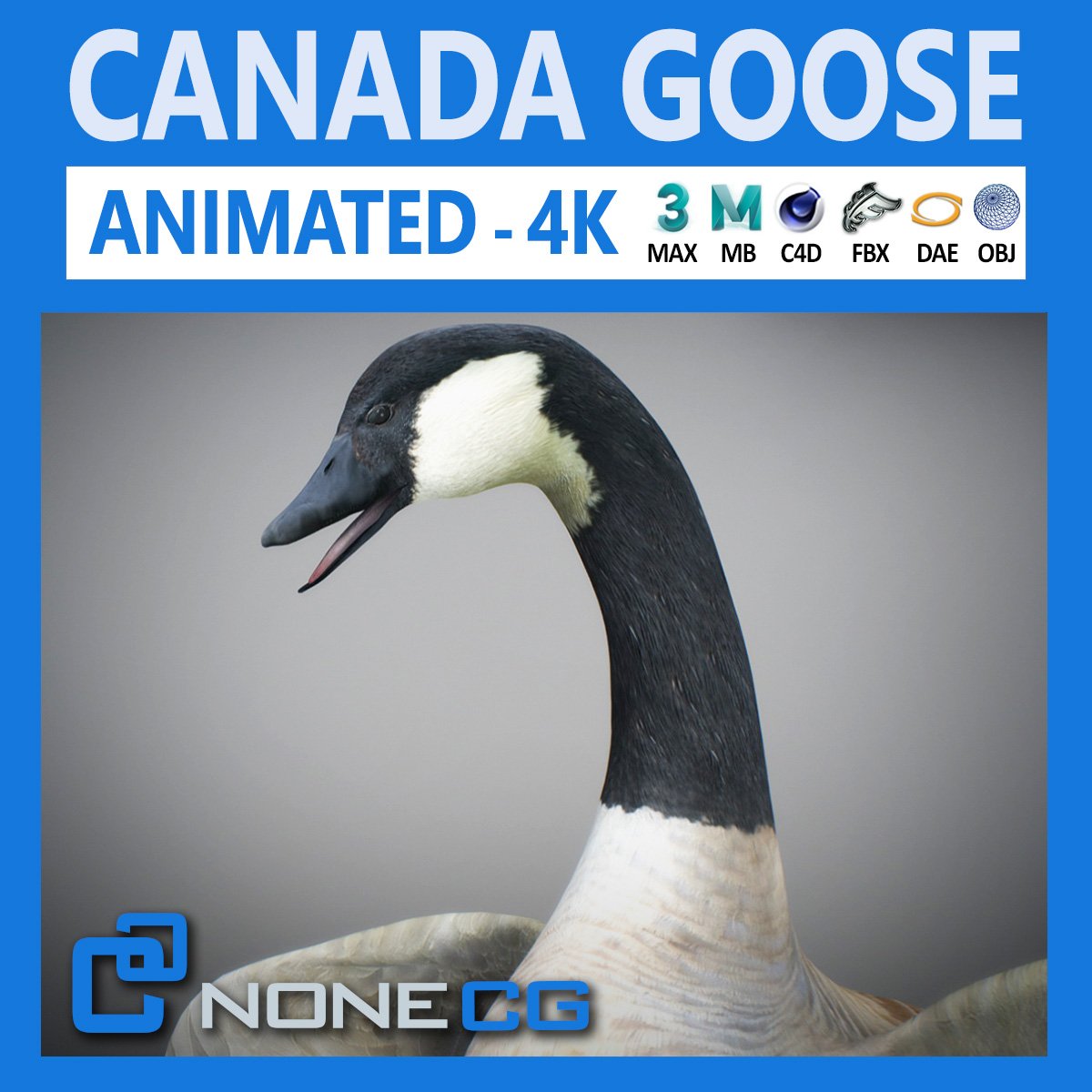 Canada goose best sale 10k 2018 3d
