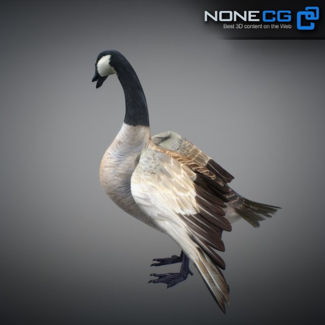 Canada goose imitation top 3d
