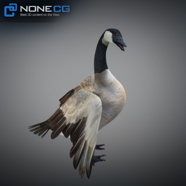 Canada goose animal 3d hot sale