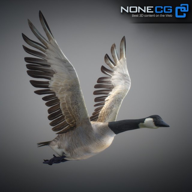 Canada goose top imitation 3d