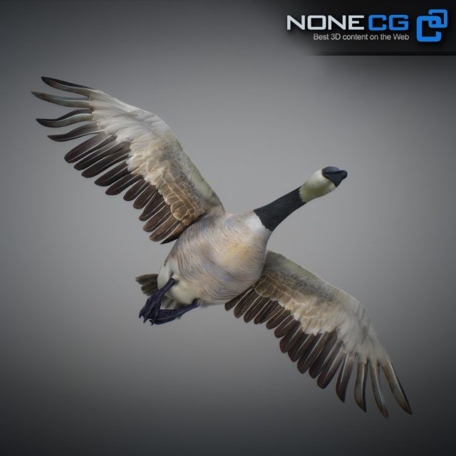 Canada goose web 3.0 new arrivals