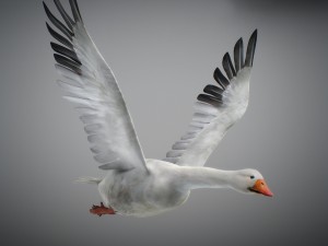 animated snow goose Modello 3D