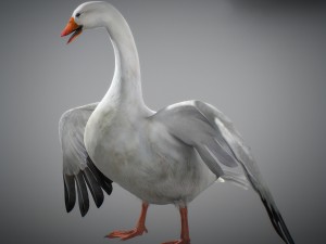 animated snow goose Modello 3D