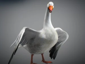 Animated snow goose 3D Model