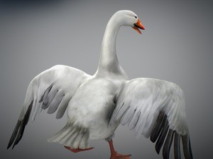 animated snow goose Modello 3D