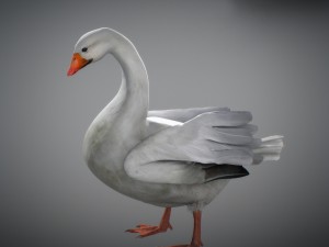 animated snow goose Modello 3D