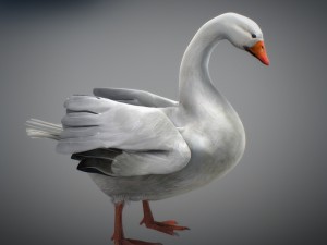 animated snow goose Modello 3D