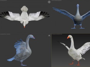 animated snow goose Modello 3D