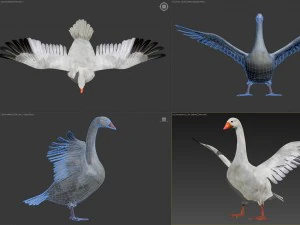 Animated snow goose 3D Model