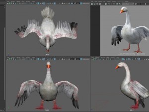 animated snow goose Modello 3D