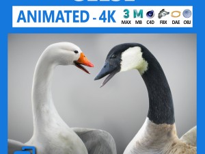animated geese 3D Model