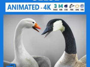 Oche animate Modello 3D