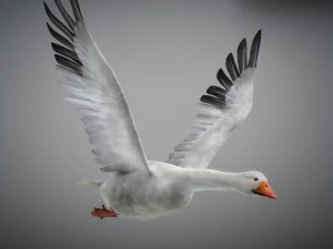 Animated geese 3D Model