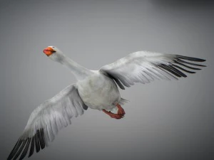 Animated geese 3D Model