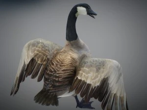 Animated geese 3D Model
