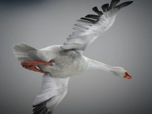 Animated geese 3D Model