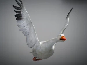 Animated geese 3D Model