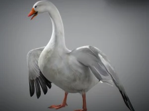 Animated geese 3D Model