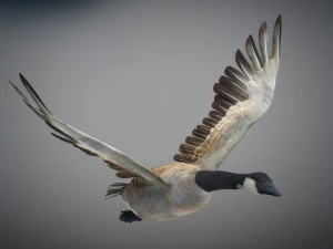 Animated geese 3D Model
