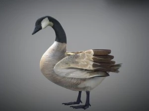 Animated geese 3D Model