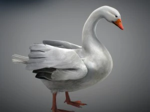 Animated geese 3D Model
