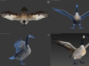 animated geese 3D Модель