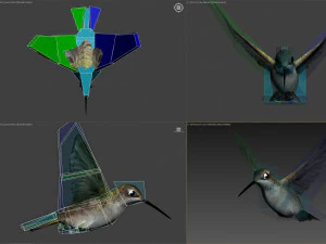 Beija-flor animado Modelo 3D