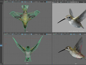 Animated hummingbird 3D मॉडल