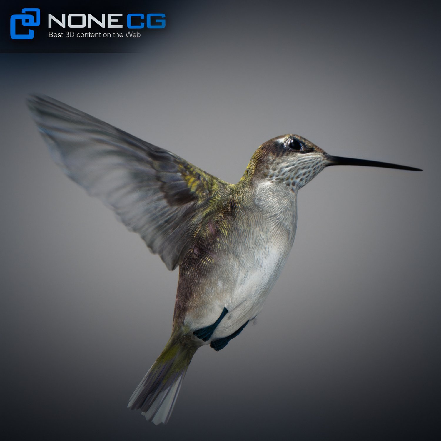 Hummingbird game zelu. 3 Птицы. Hummingbird 3d model. Hummingbird game.