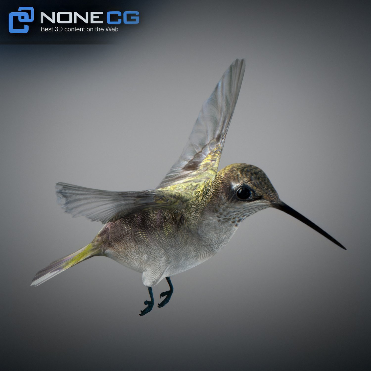 Hummingbird game zelu. Hummingbird 3d model.