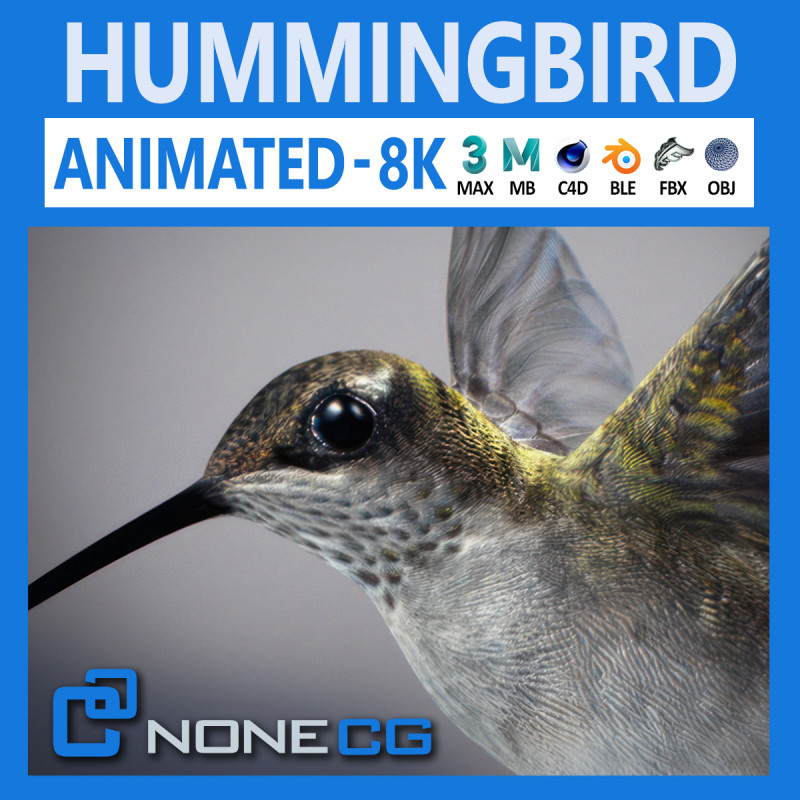 Animated hummingbird 3D मॉडल .c4d .max .obj .3ds .fbx .stl .blend 