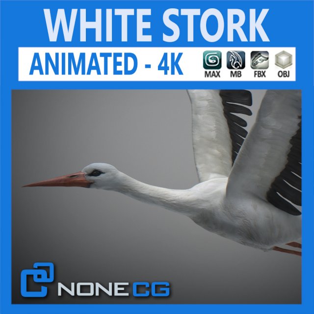 animated stork Modello 3D .c4d .max .obj .3ds .fbx .stl .blend 