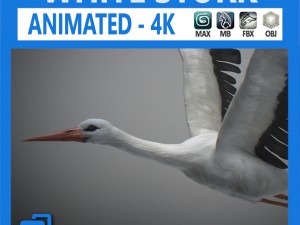 animated stork 3D मॉडल