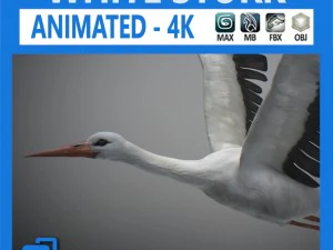 Bangau animasi Model 3D