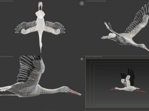 animated stork Modello 3D
