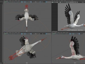 animated stork Modello 3D