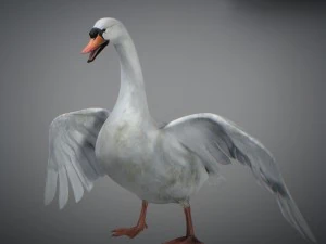 Animated swan 3D Model