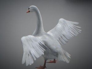 animated swan 3D Model