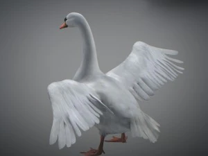 Animated swan 3D Model