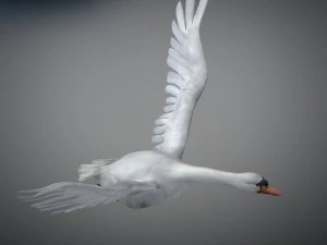 Animated swan 3D Model