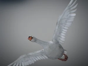 Animated swan 3D Model