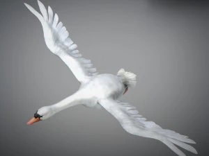Animated swan 3D Model